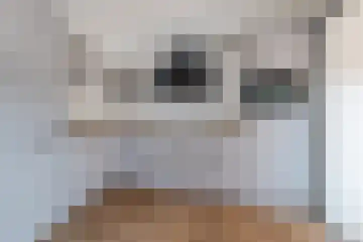 De Kroon 1 Hoogeveen thumbnail 19
