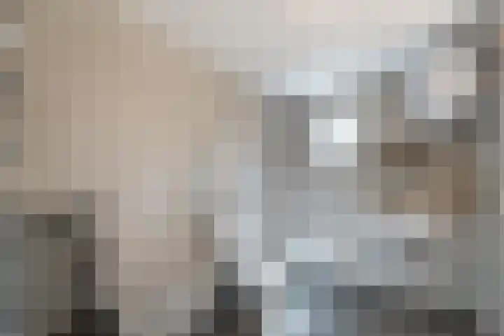 De Kroon 1 Hoogeveen thumbnail 25