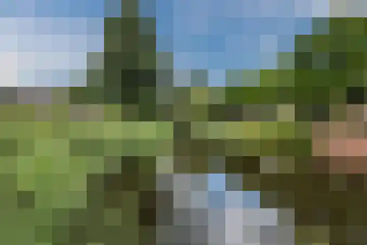 De Kroon 1 Hoogeveen thumbnail 47