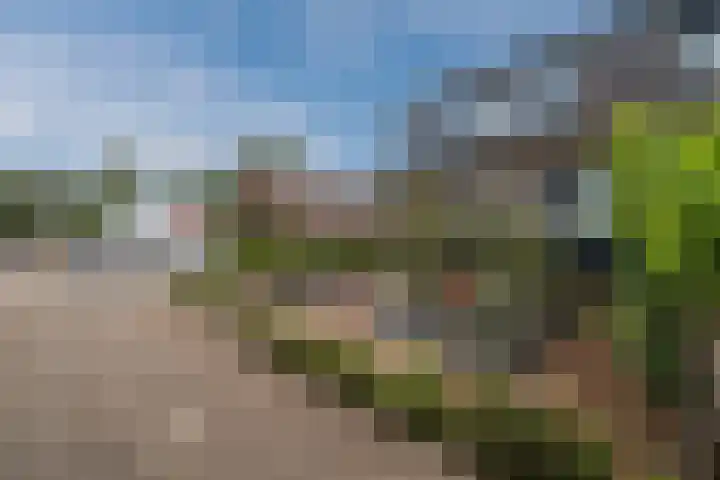 De Kroon 1 Hoogeveen thumbnail 8