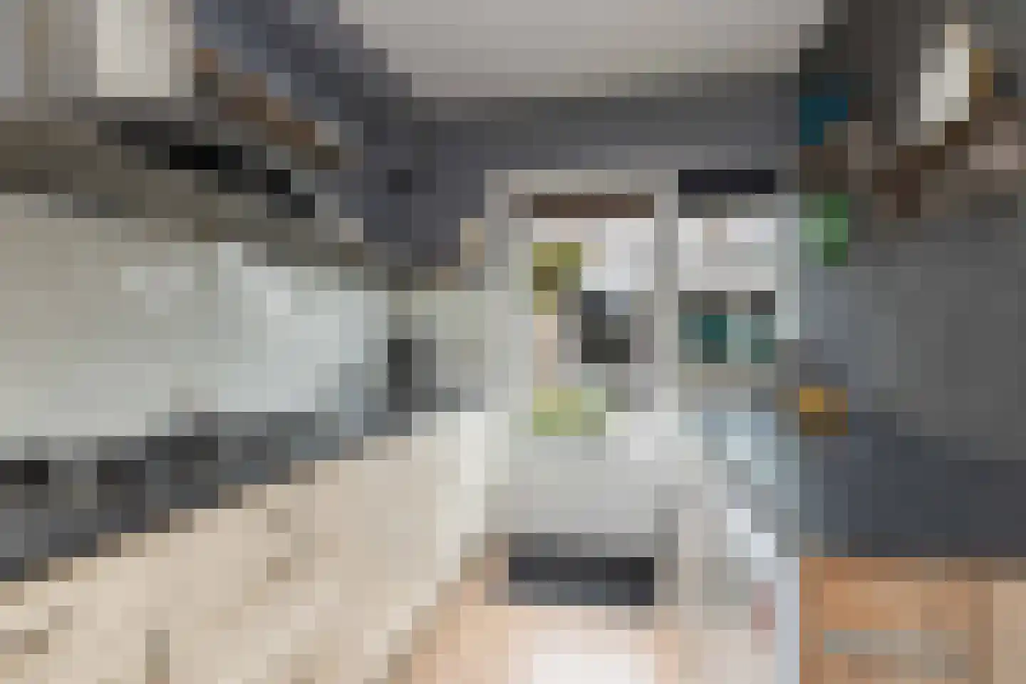 De Kroon 11 Hoogeveen thumbnail 14