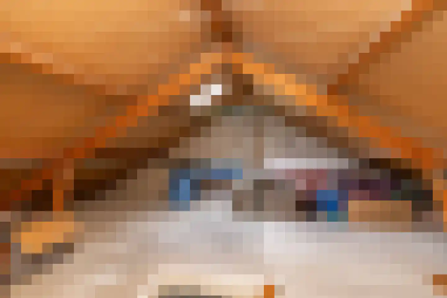 De Kroon 11 Hoogeveen thumbnail 34