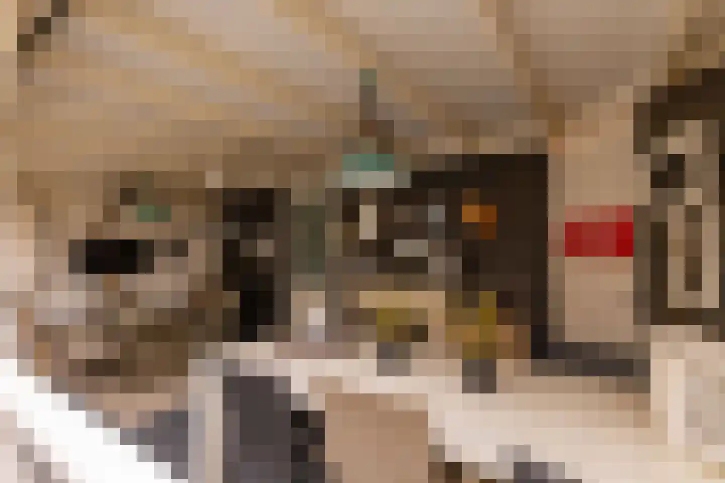 De Kroon 11 Hoogeveen thumbnail 39