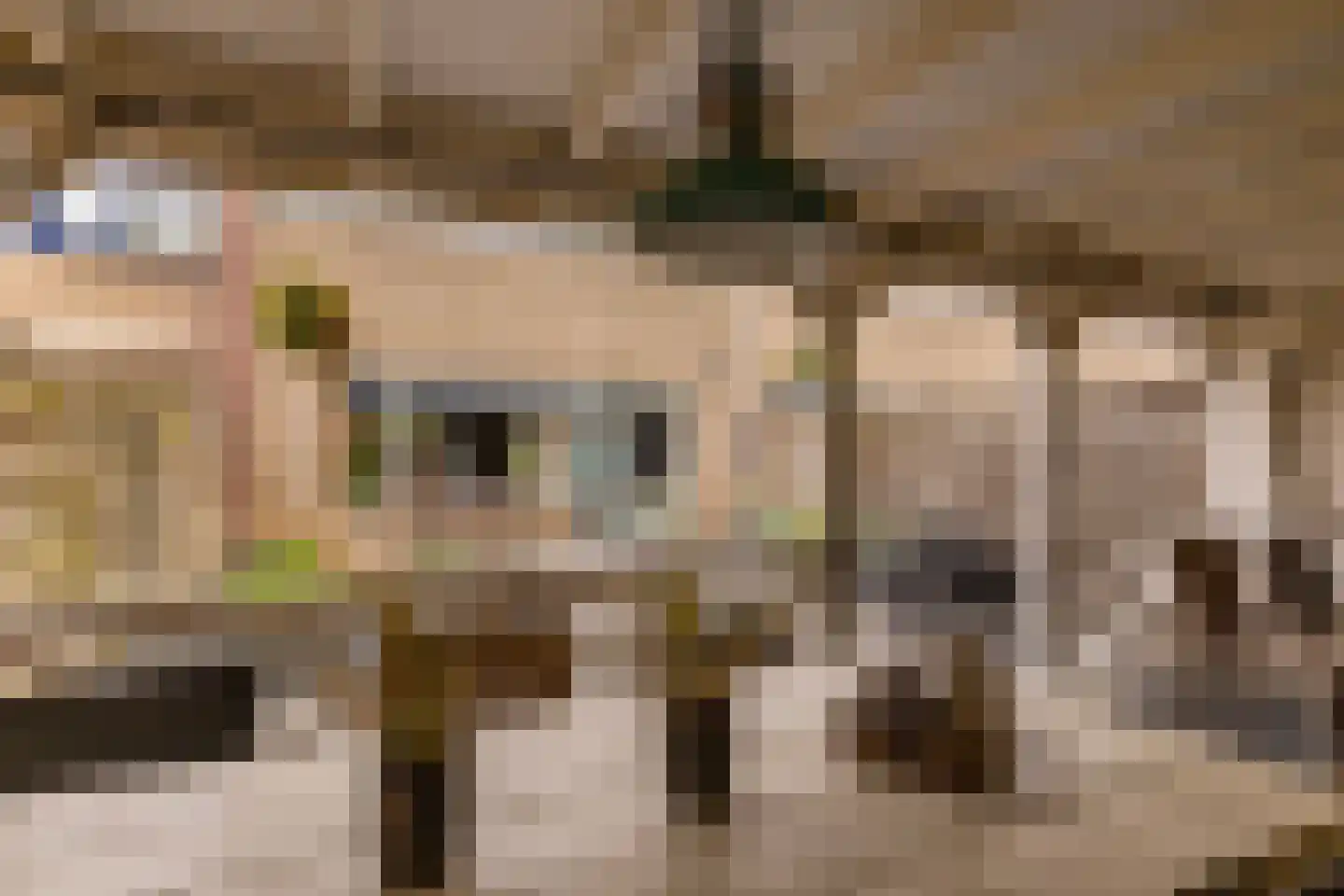 De Kroon 11 Hoogeveen thumbnail 42