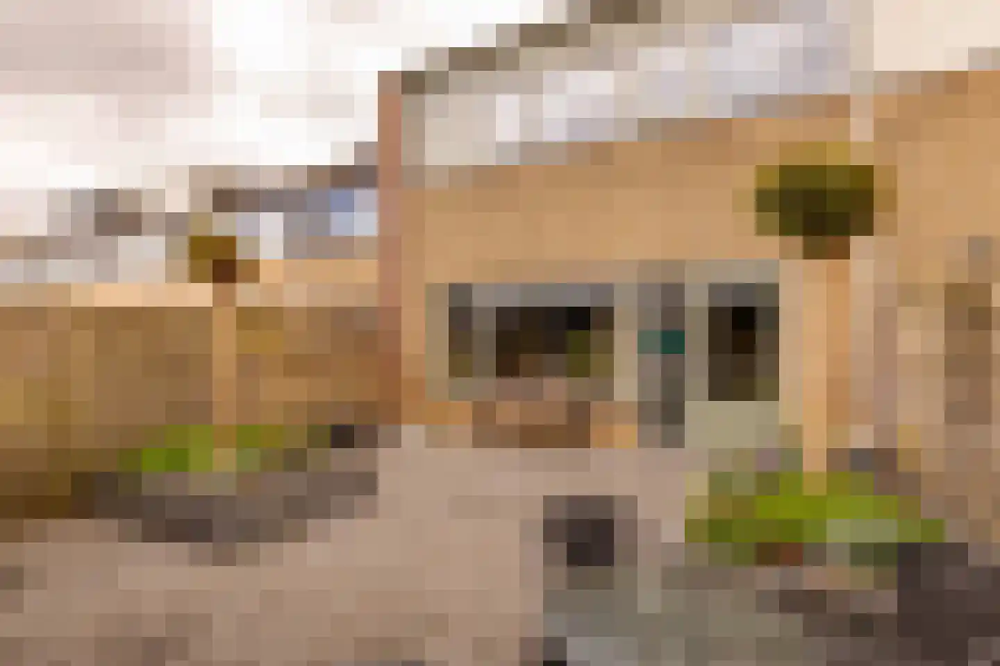 De Kroon 11 Hoogeveen thumbnail 43
