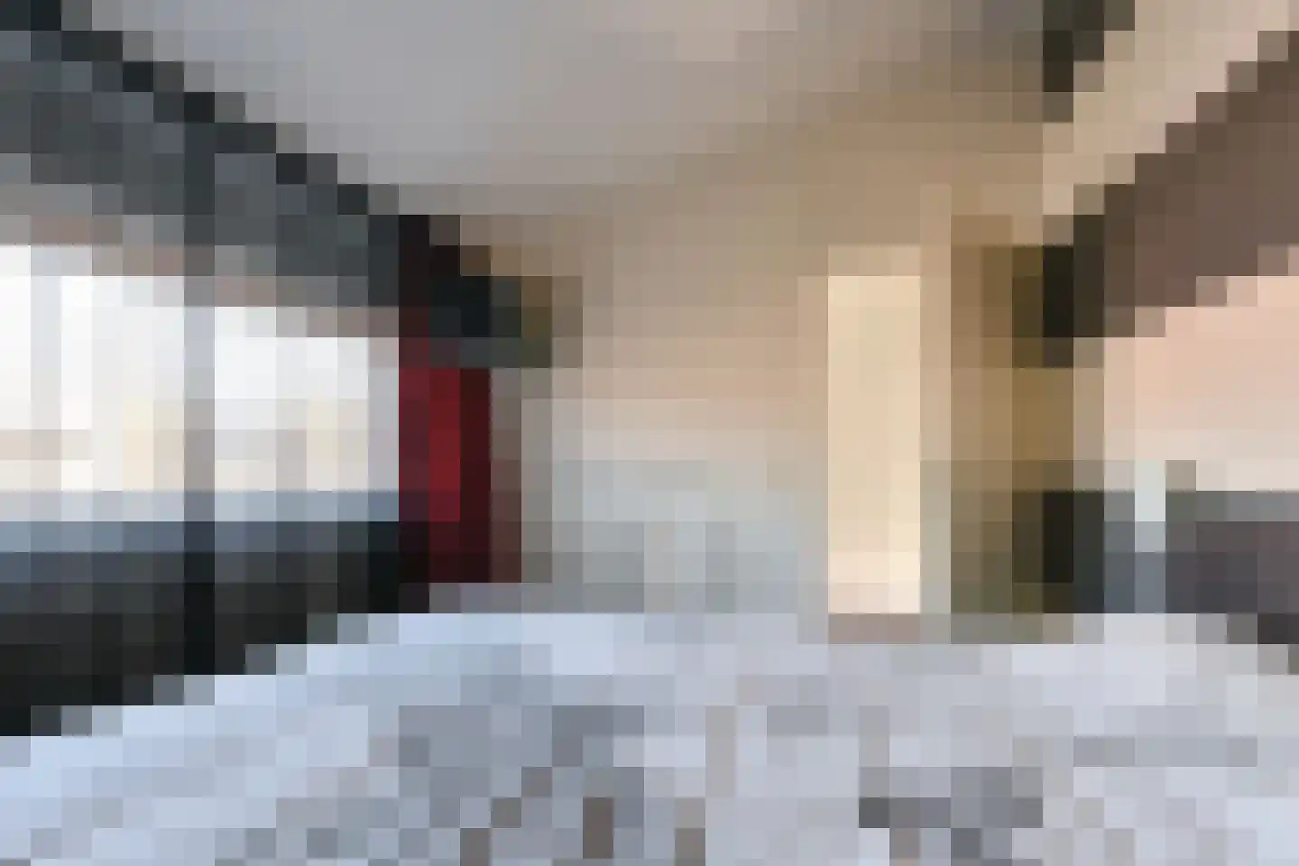De Kroon 34 Hoogeveen thumbnail 28