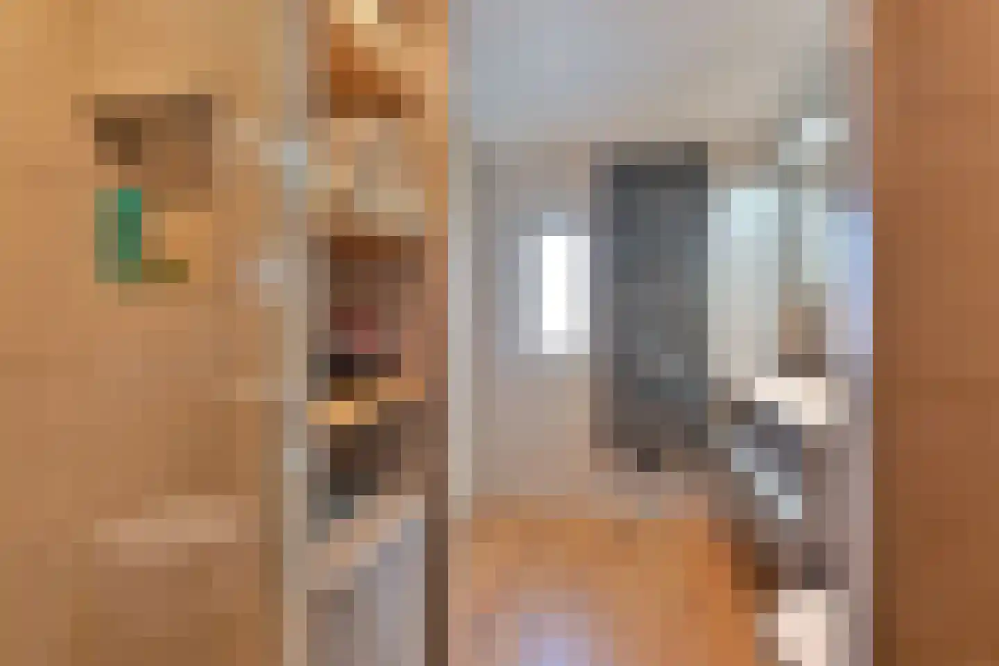 De Kroon 34 Hoogeveen thumbnail 33