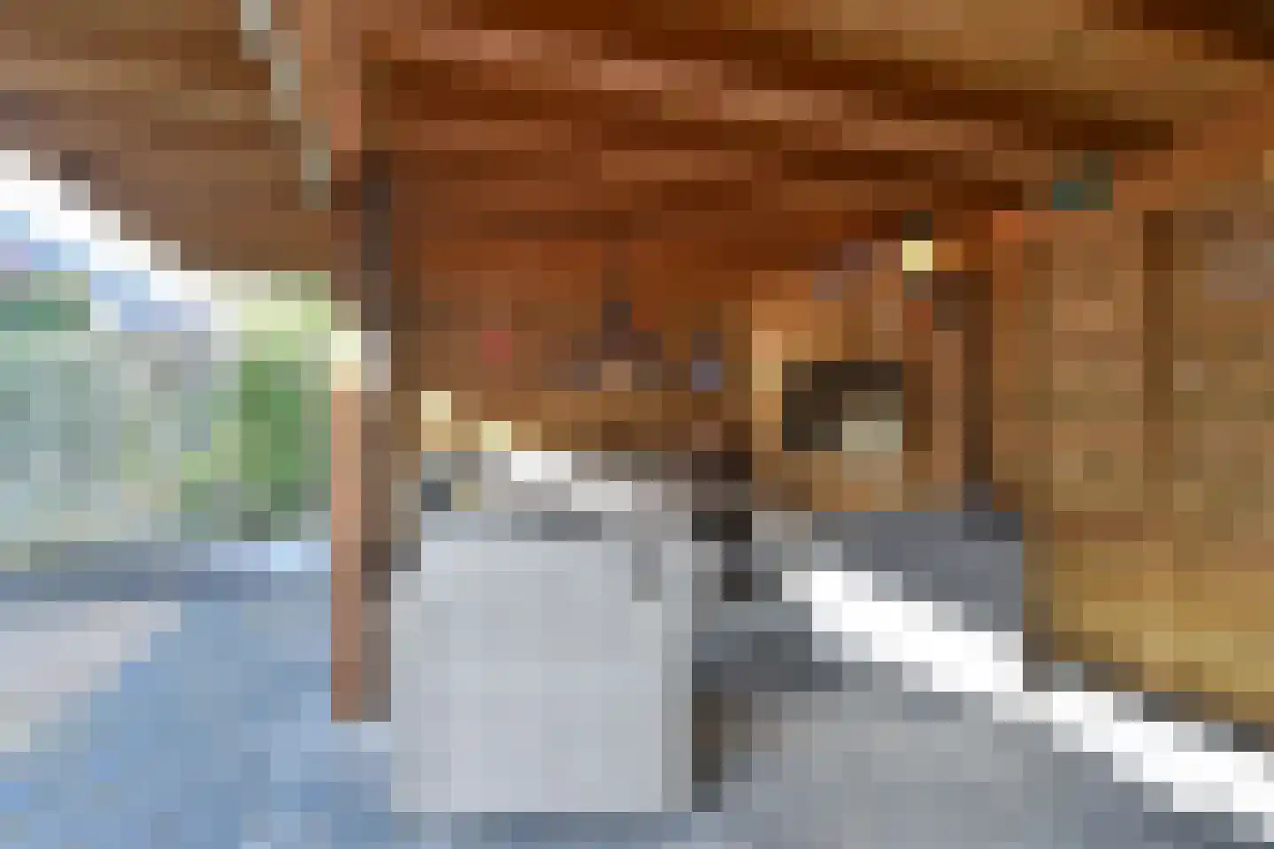 De Kroon 34 Hoogeveen thumbnail 48