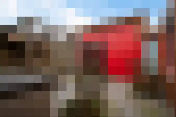 De Kroon 50 Hoogeveen thumbnail 20