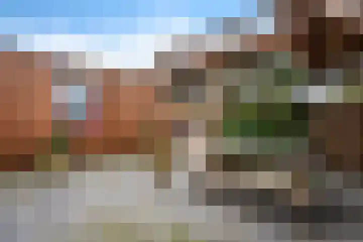 De Kroon 50 Hoogeveen thumbnail 22