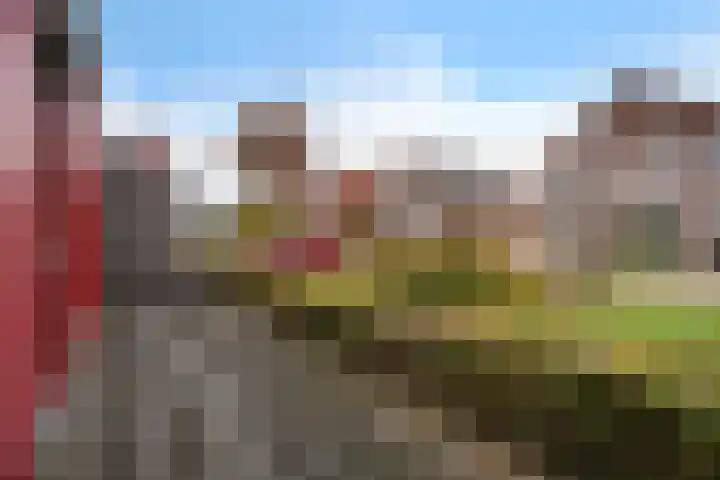 De Kroon 50 Hoogeveen thumbnail 23