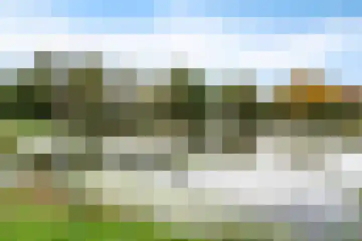 De Kroon 50 Hoogeveen thumbnail 25