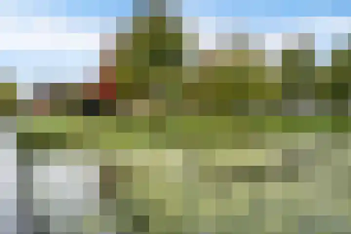 De Kroon 50 Hoogeveen thumbnail 26