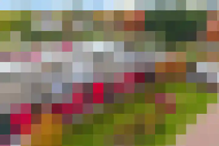 De Kroon 50 Hoogeveen thumbnail 6