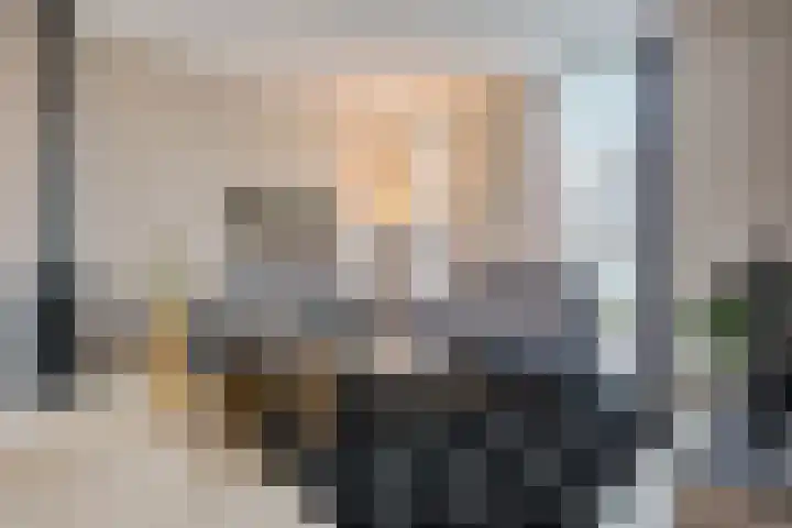 De Kroon 50 Hoogeveen thumbnail 8
