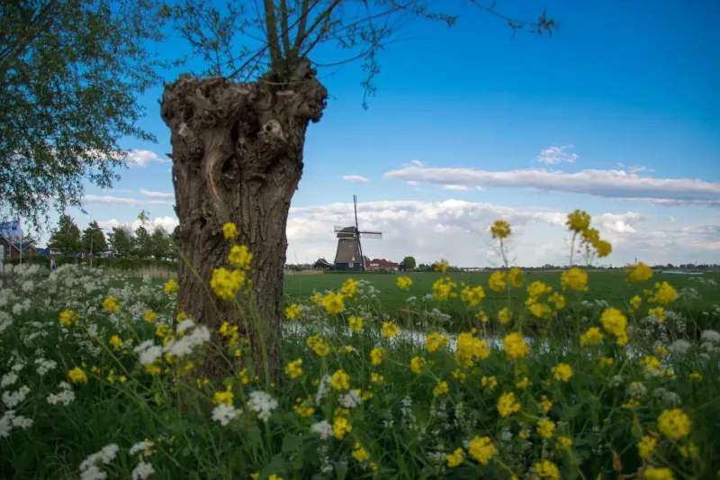 Kantoor foto van De Kroon Makelaars