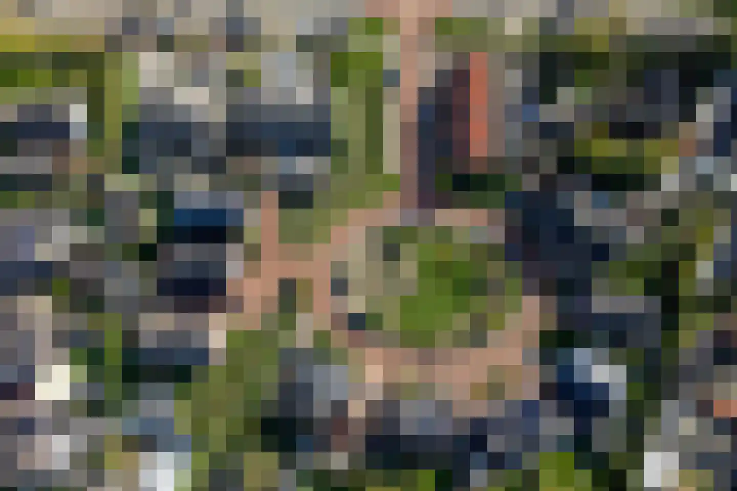 de Kroonenburg 32 Maasbommel thumbnail 106