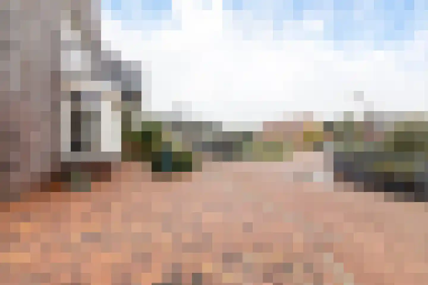 de Kroonenburg 32 Maasbommel thumbnail 107