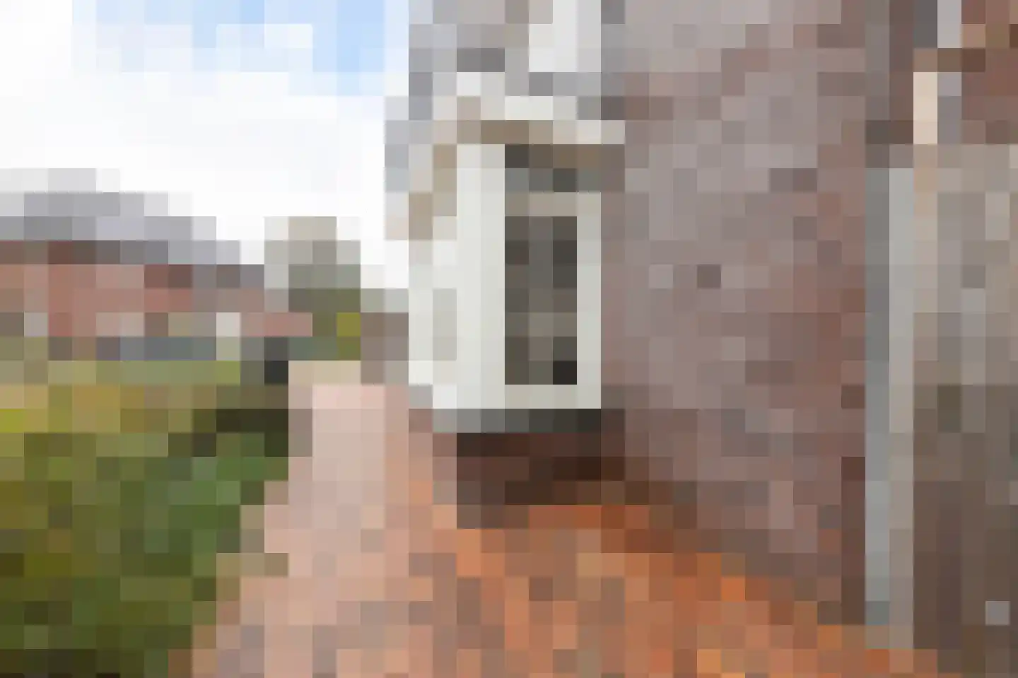 de Kroonenburg 32 Maasbommel thumbnail 108