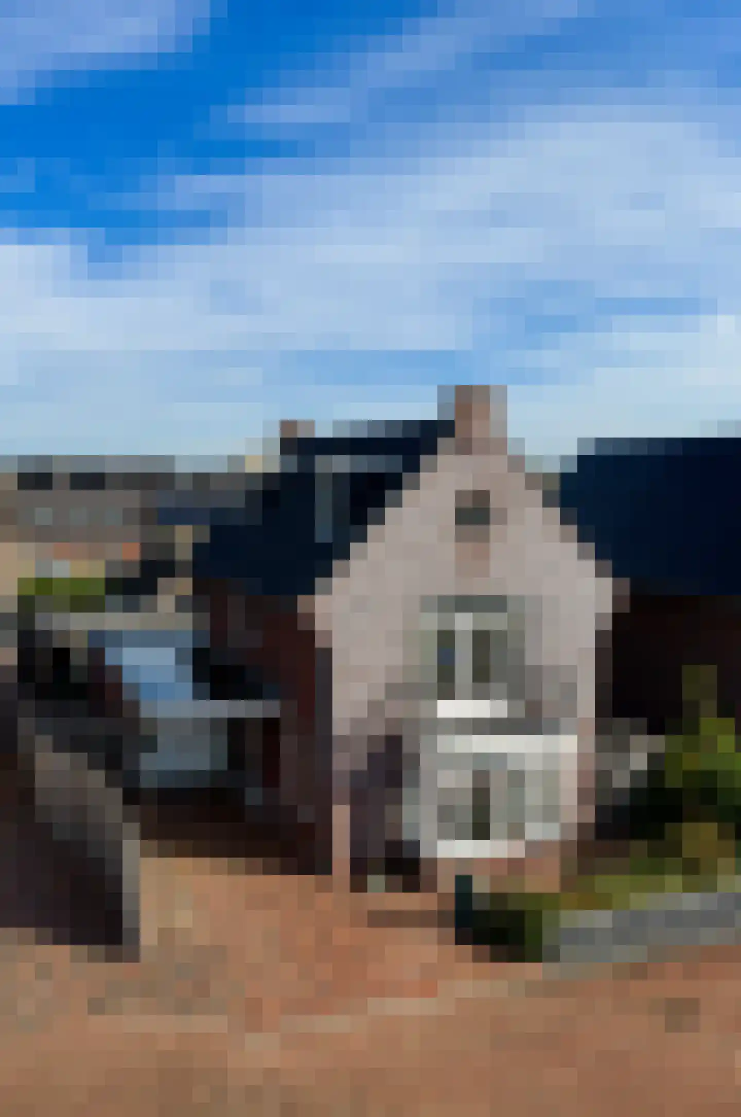 de Kroonenburg 32 Maasbommel thumbnail 113