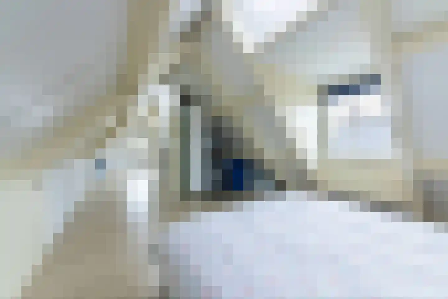de Kroonenburg 32 Maasbommel thumbnail 60