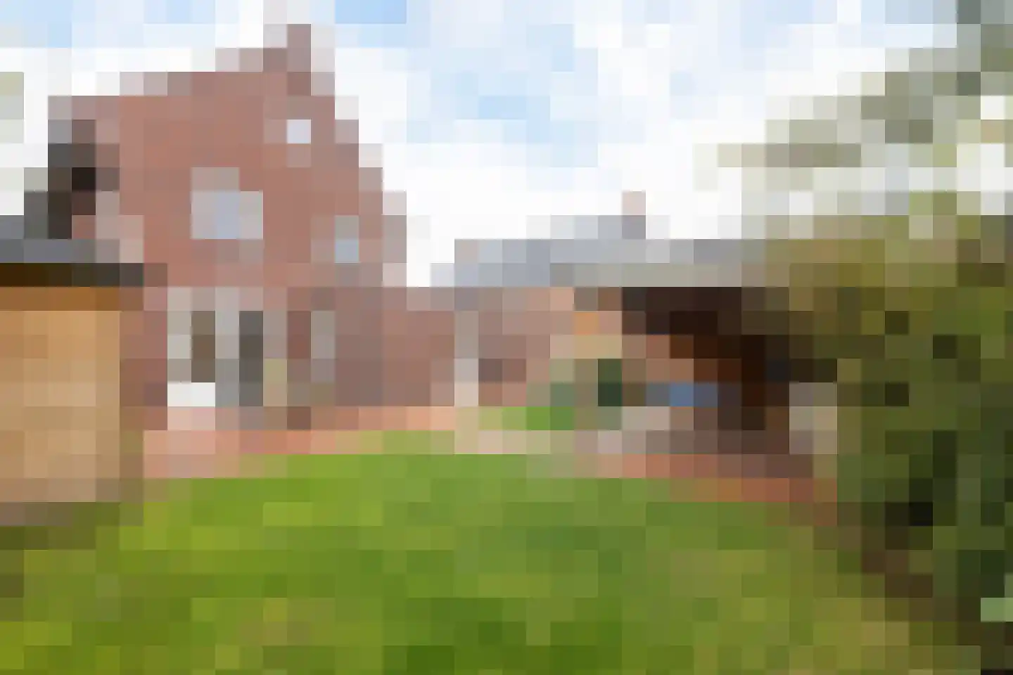 de Kroonenburg 32 Maasbommel thumbnail 66