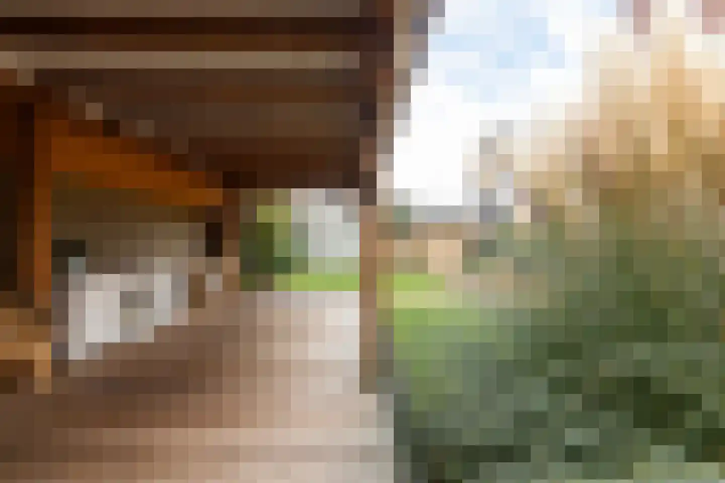 de Kroonenburg 32 Maasbommel thumbnail 67
