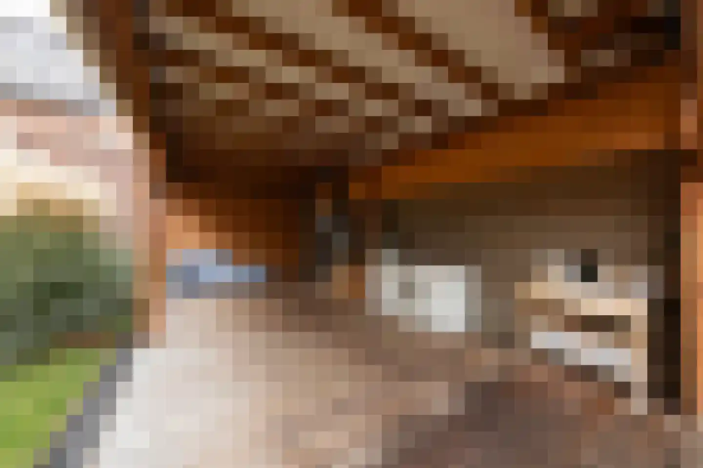 de Kroonenburg 32 Maasbommel thumbnail 68