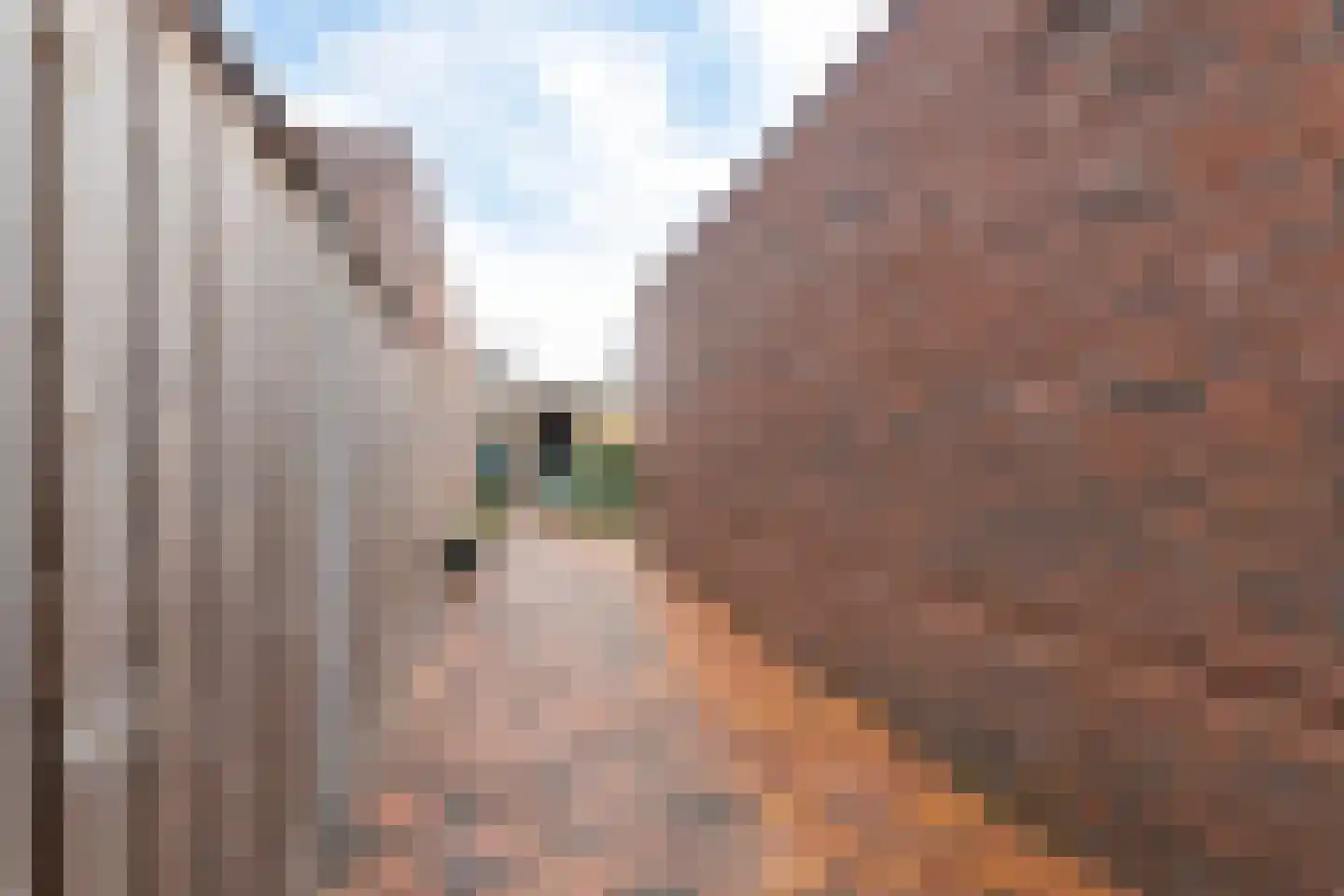 de Kroonenburg 32 Maasbommel thumbnail 80