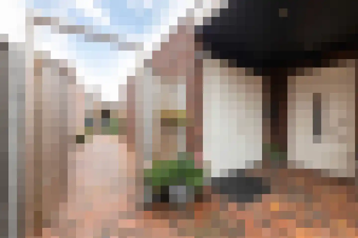 de Kroonenburg 32 Maasbommel thumbnail 83