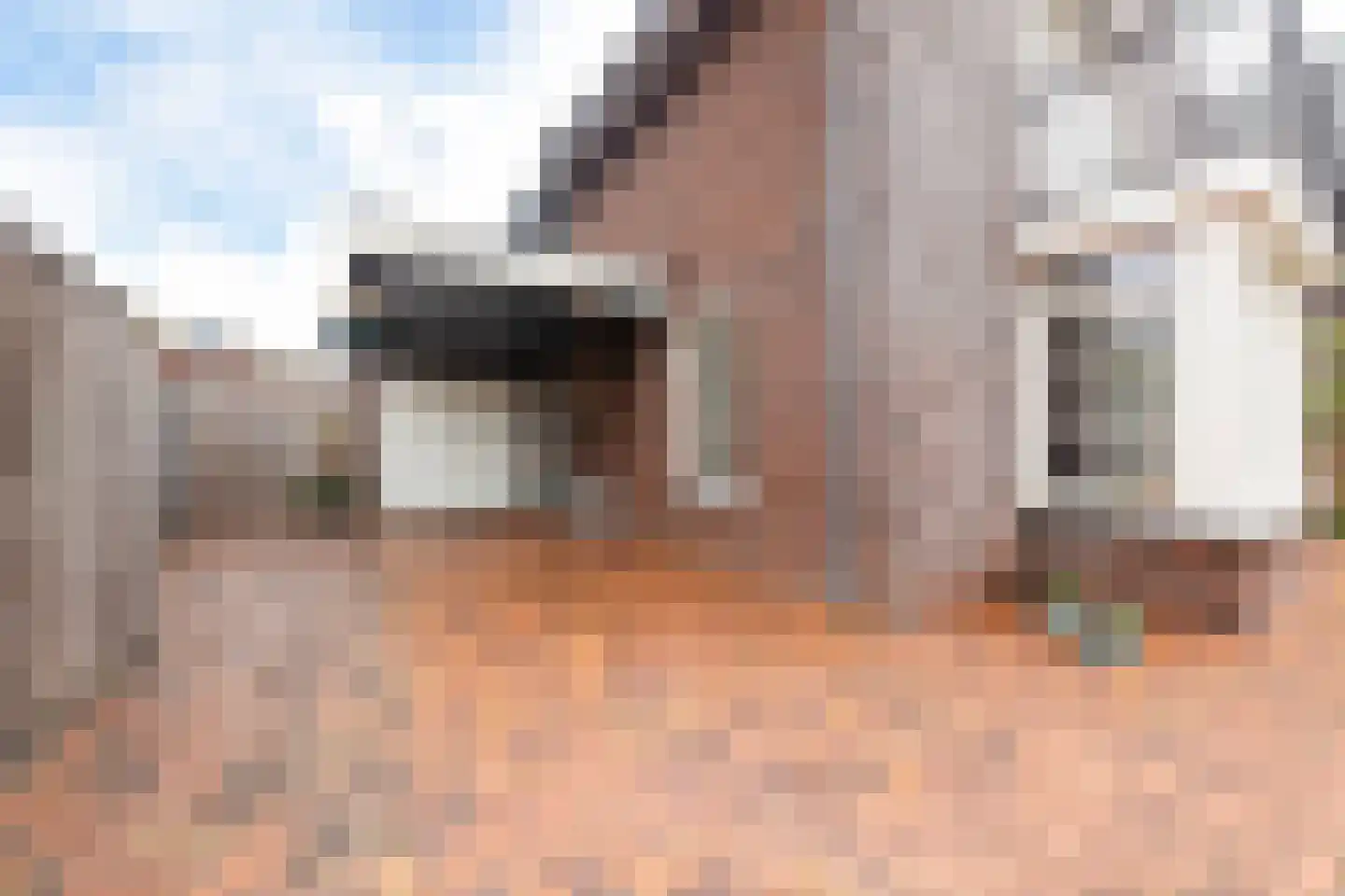 de Kroonenburg 32 Maasbommel thumbnail 86