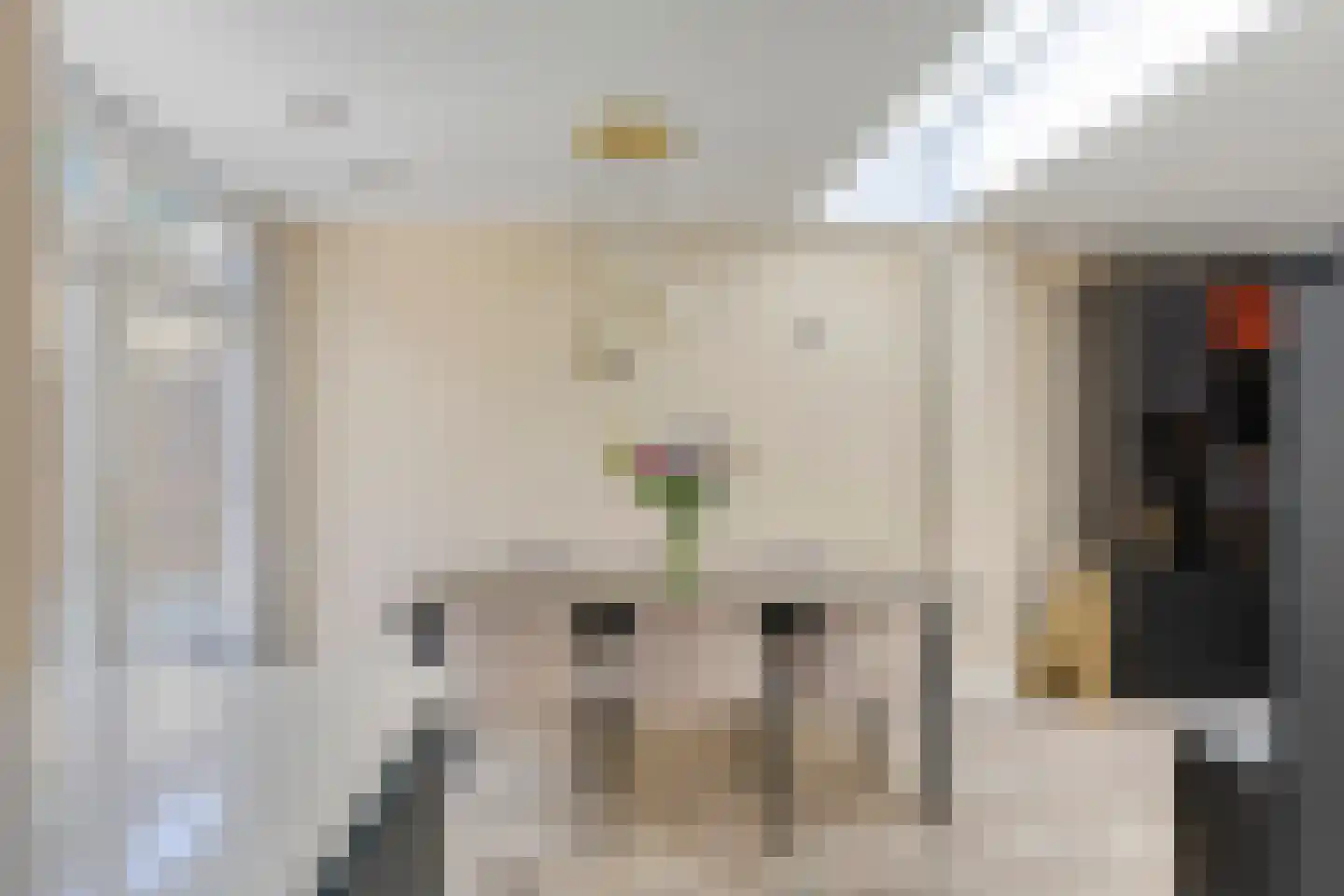 De Kropaar 48 Heesch thumbnail 11