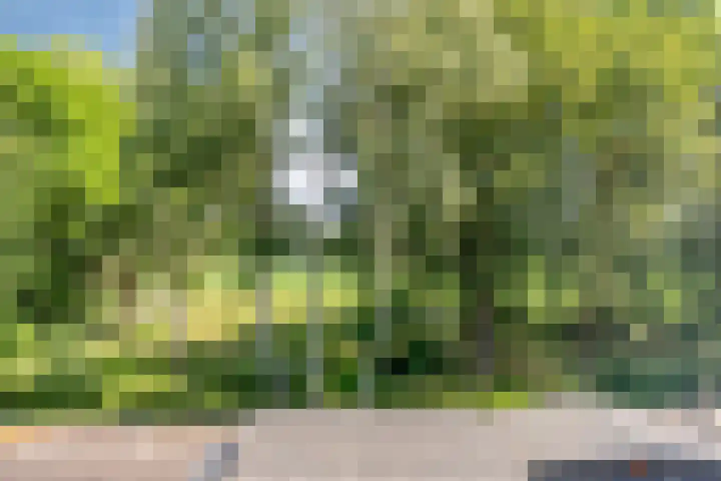 De Kropaar 48 Heesch thumbnail 34