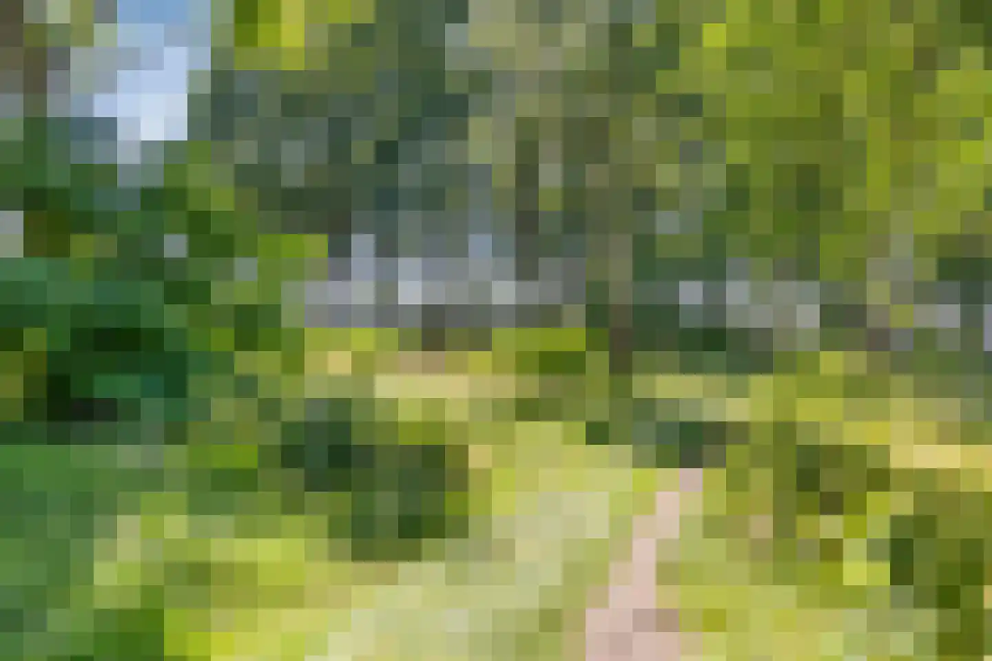De Kropaar 48 Heesch thumbnail 36