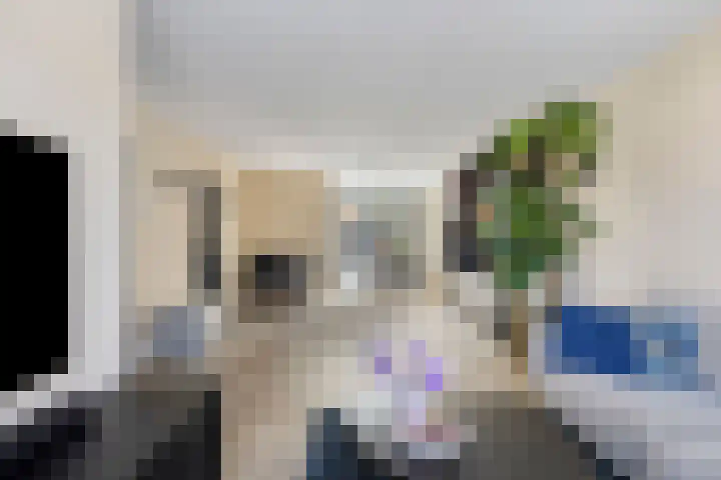 De Kropaar 48 Heesch thumbnail 8
