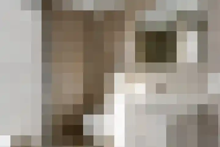 De Kropaar 5 Heesch thumbnail 10