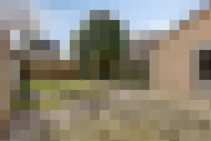 De Kropaar 5 Heesch thumbnail 18