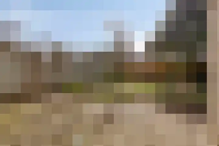 De Kropaar 5 Heesch thumbnail 19