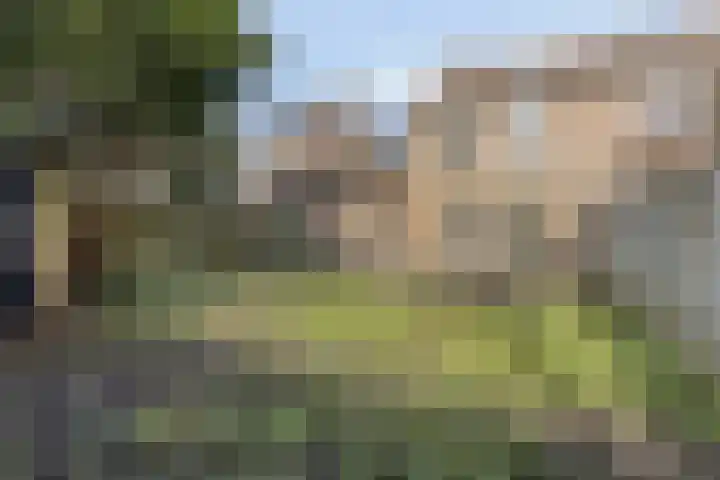 De Kropaar 5 Heesch thumbnail 21
