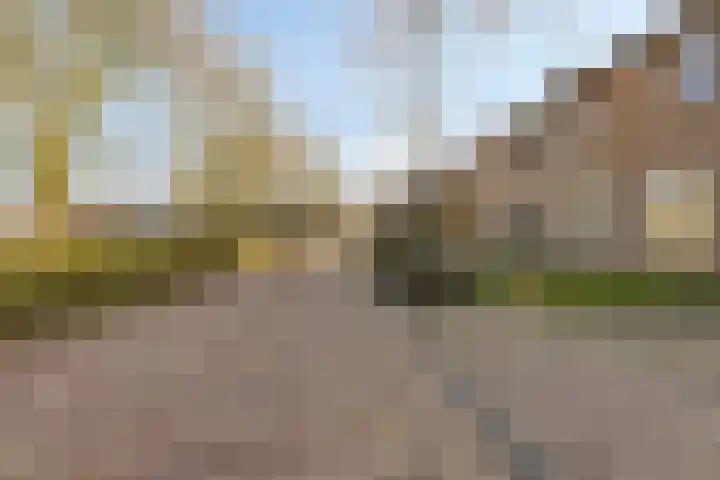 De Kropaar 5 Heesch thumbnail 22