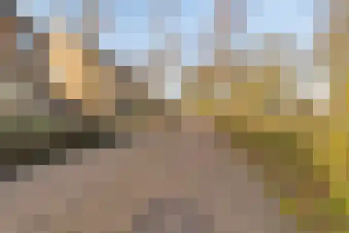 De Kropaar 5 Heesch thumbnail 23