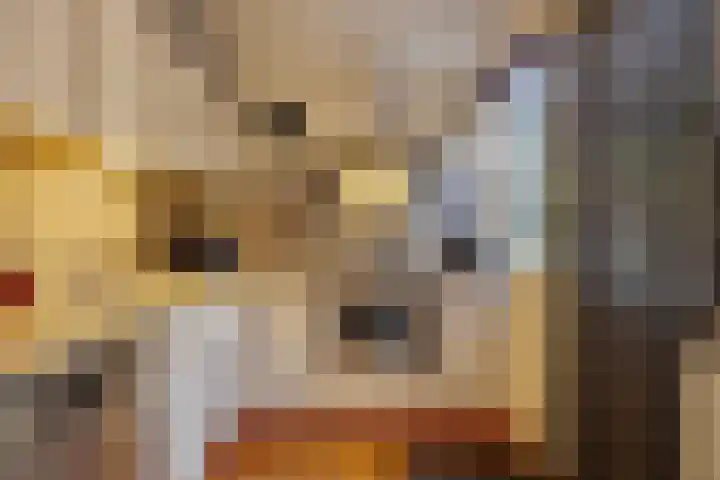 De Kropaar 52 Heesch thumbnail 12