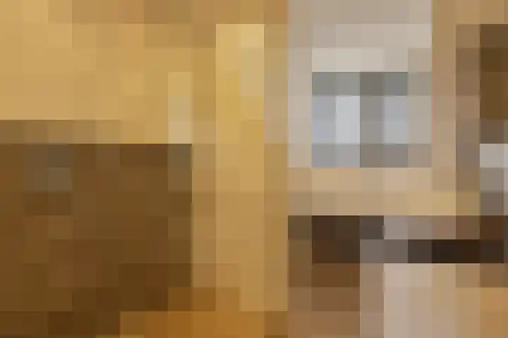 De Kropaar 52 Heesch thumbnail 20