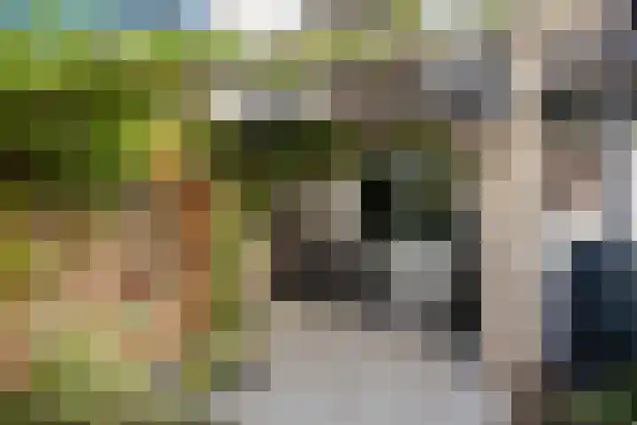 De Kropaar 52 Heesch thumbnail 28