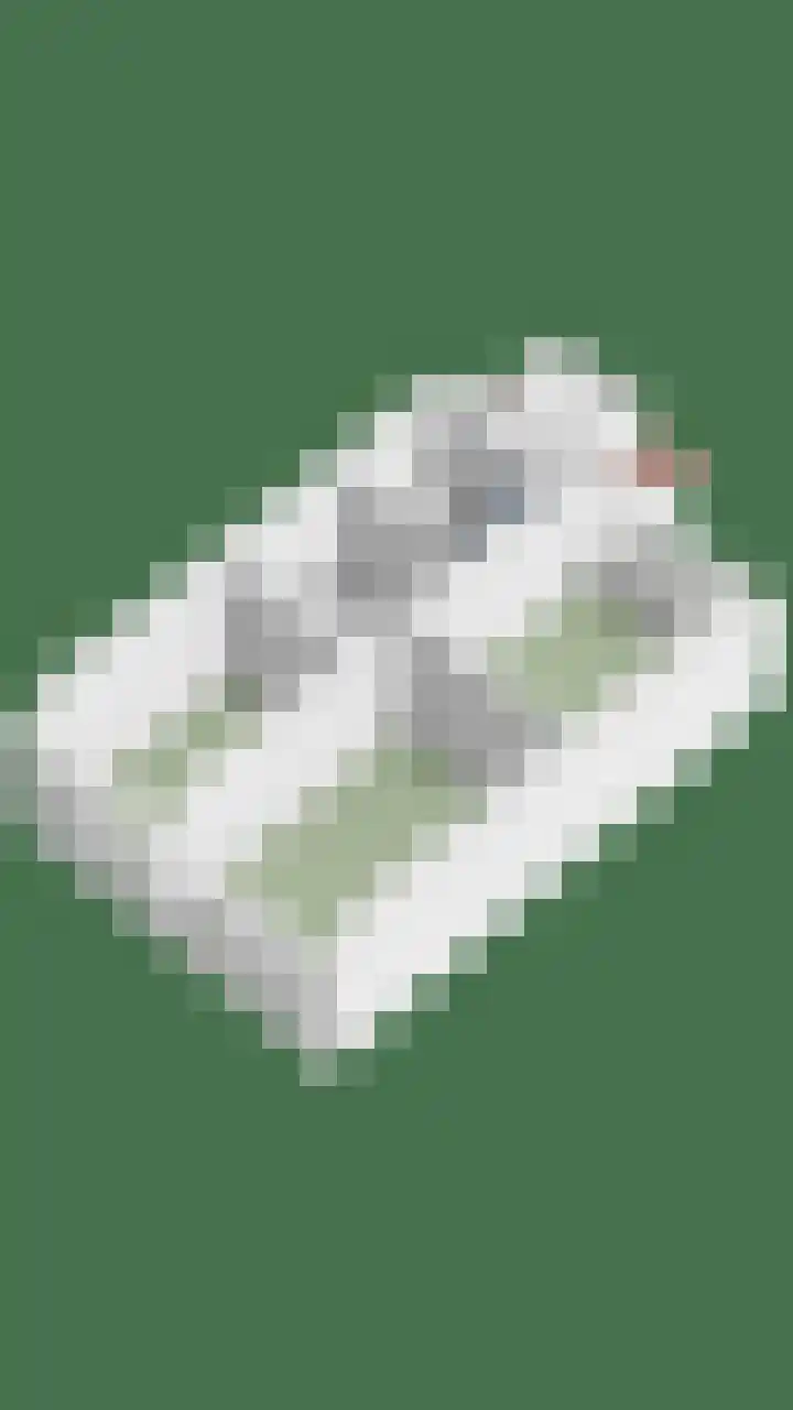 De Kropaar 52 Heesch thumbnail 41
