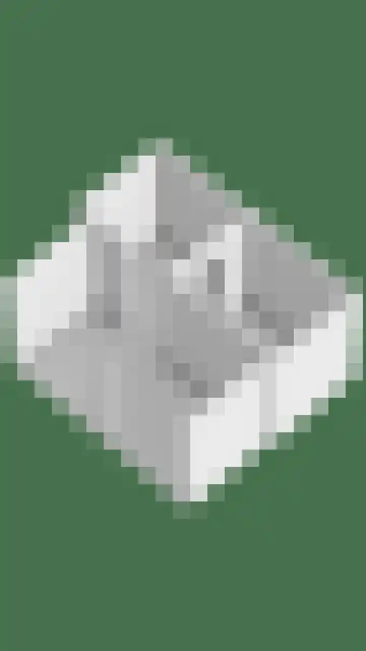 De Kropaar 52 Heesch thumbnail 45