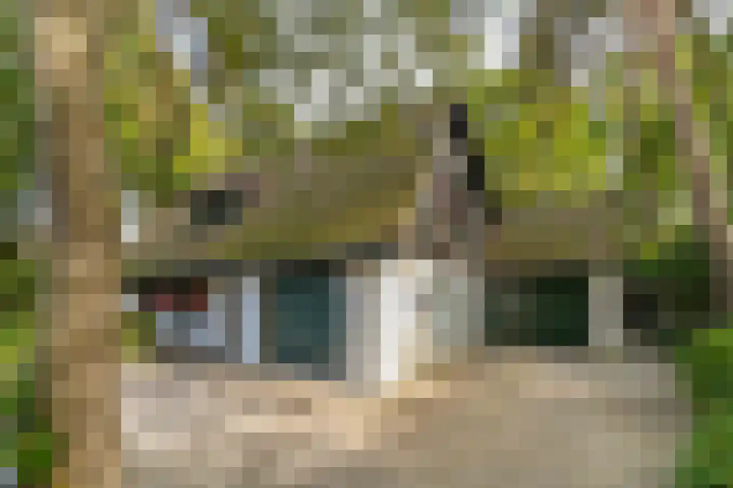 de Krosselt 23 Velden