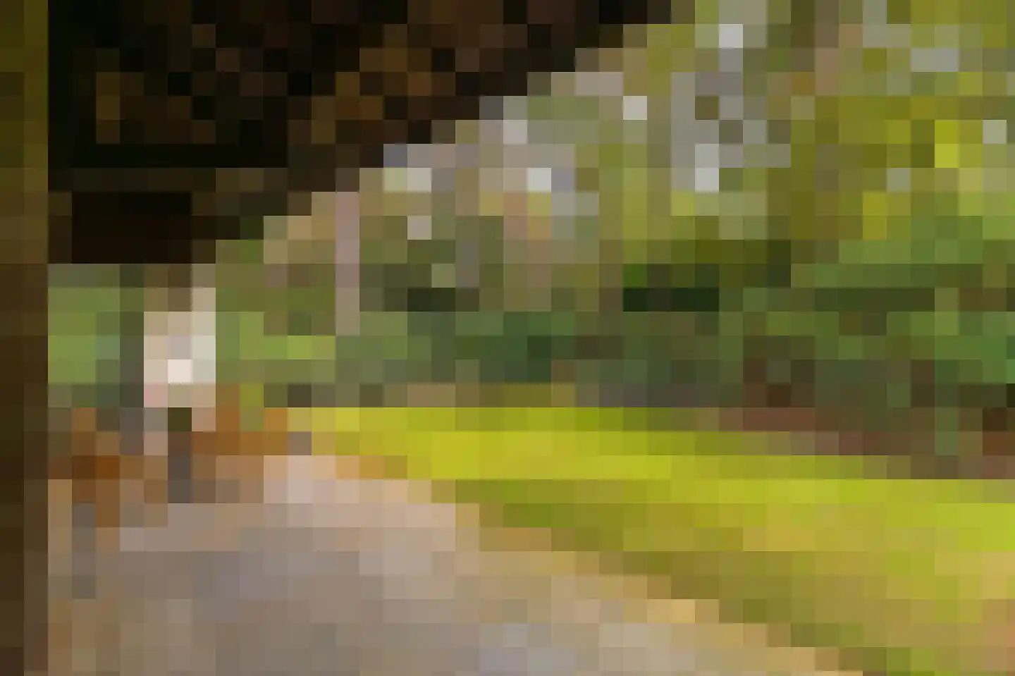 de Krosselt 23 Velden thumbnail 26