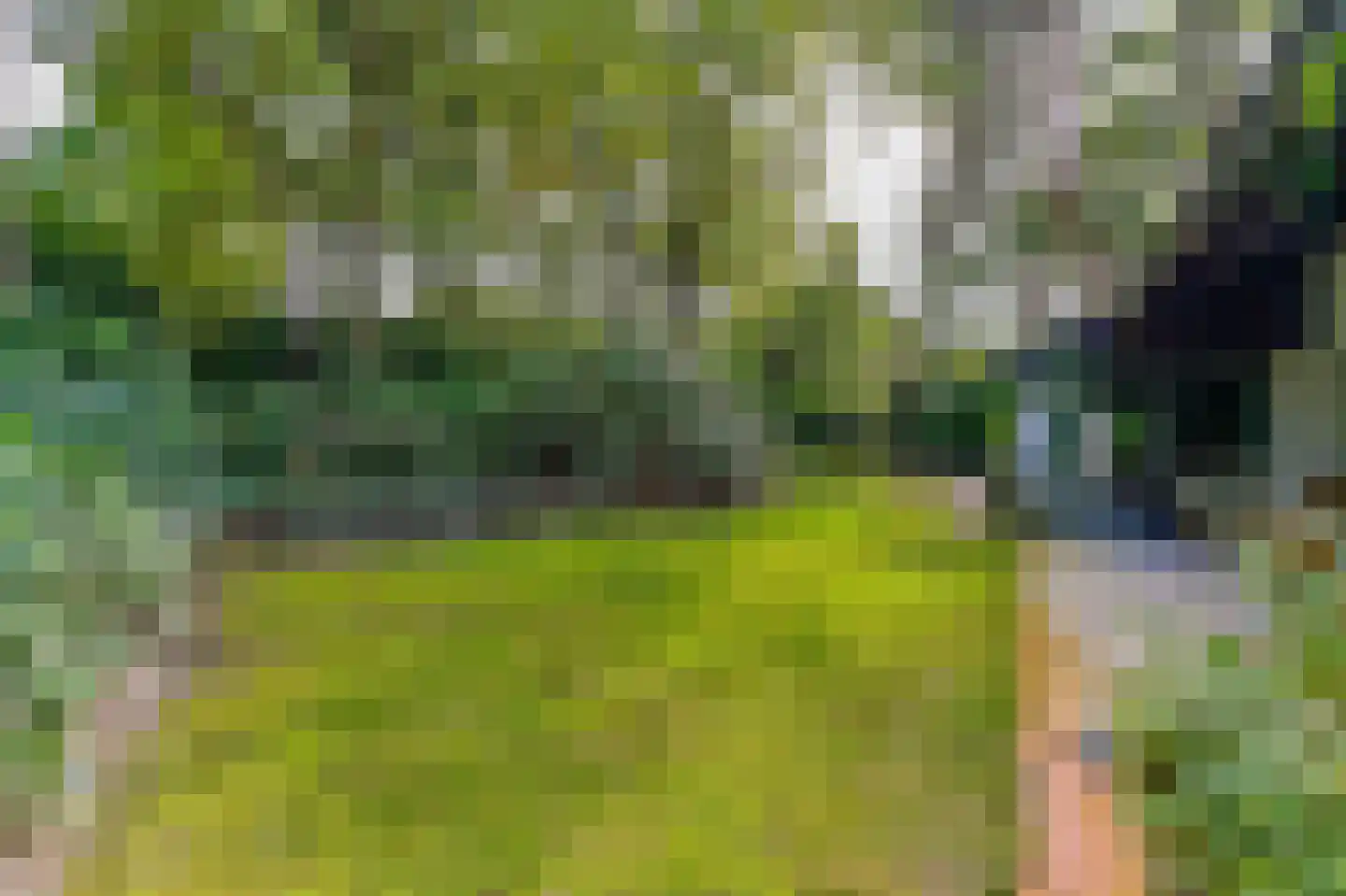 de Krosselt 23 Velden thumbnail 27