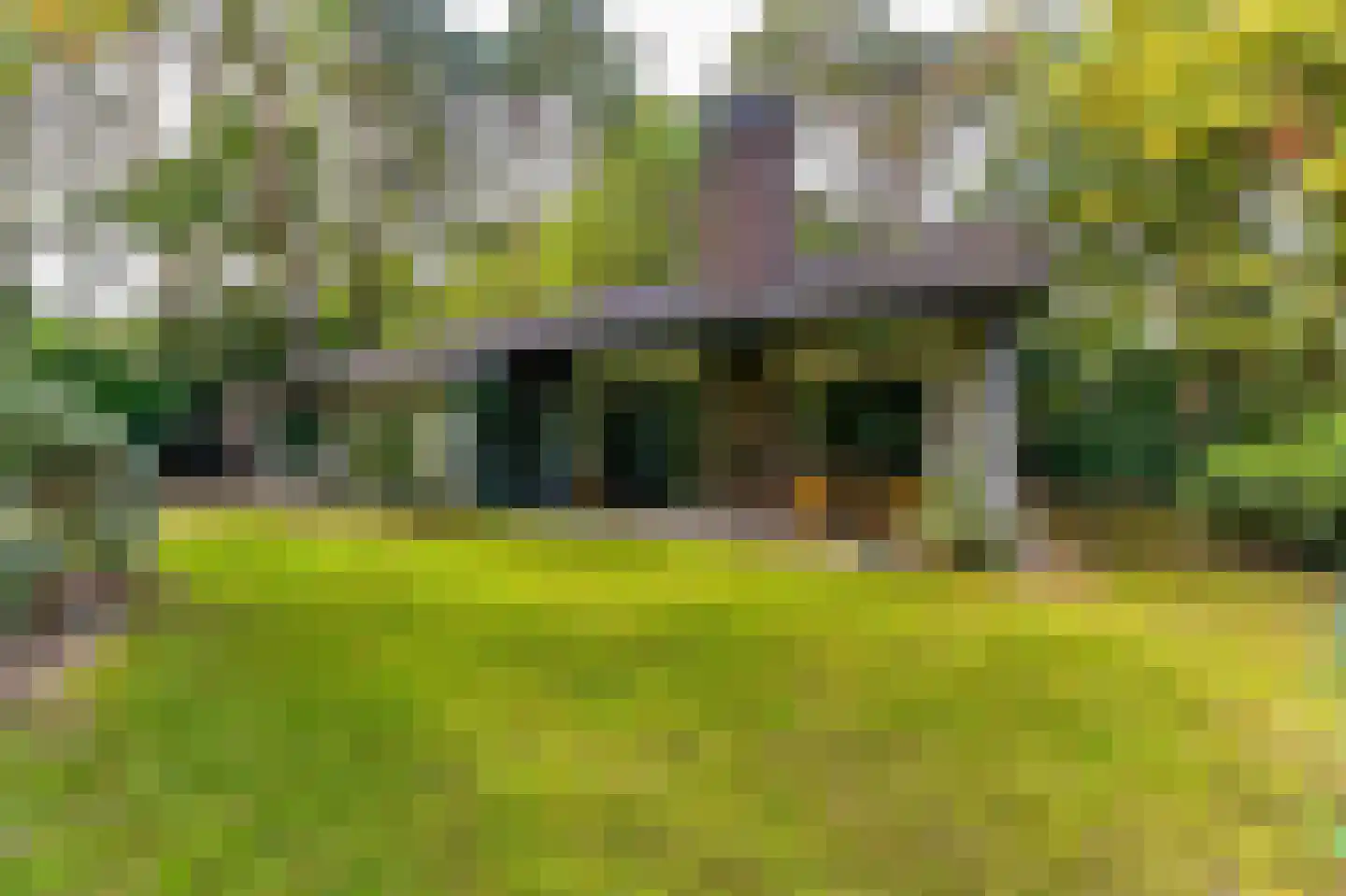 de Krosselt 23 Velden thumbnail 28